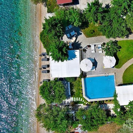 Acrotel Athena Villa Елия Екстериор снимка